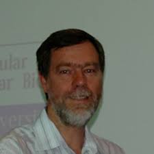 Julian Mercer